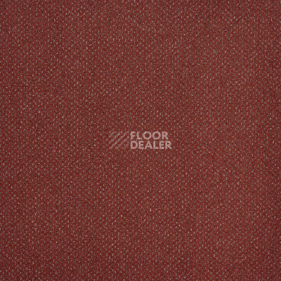 Ковролин Big Carus Vendome 775 фото 1 | FLOORDEALER